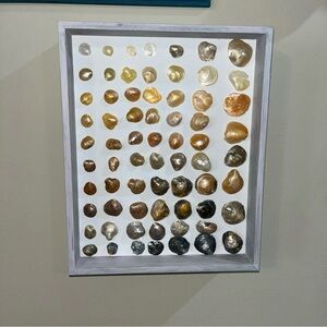 3-D One of A Kind Handmade Seashell Art